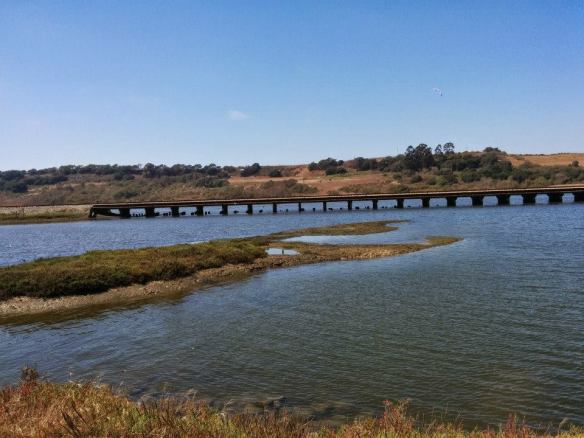 It's a slough! Reminds me of some good old days.