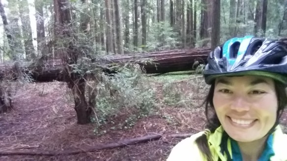 Selfie in the redwoods.