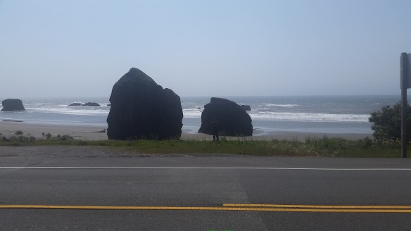 When the wind gets to be too much, stop and take a picture.