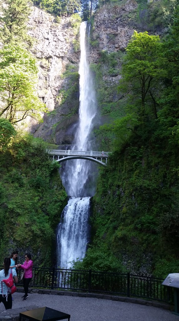 Multnomah Falls. I have a picture that includes me standing in front of them, but this one's better.