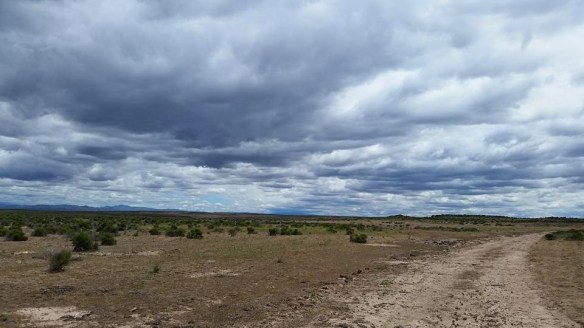 All alone on this road, underneath this sky, I felt very tiny and forgotten.