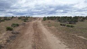 Small hills are much more challenging on dirt roads.