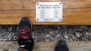 The final tie in the first transcontinental railroad.