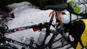 Lutz dabbles in the snow.