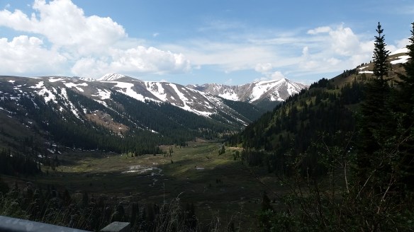 Oh my inadequate photography skills!